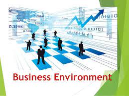Chapter Wise BCom 1st Year Business Environment Notes Study Material